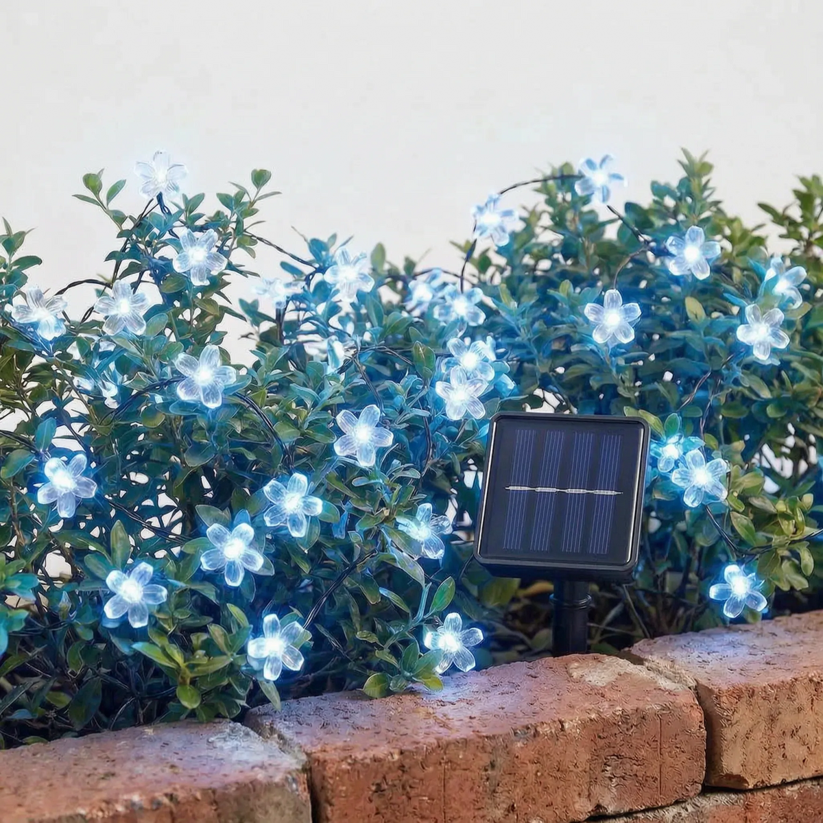 Outdoor Solar String Lights