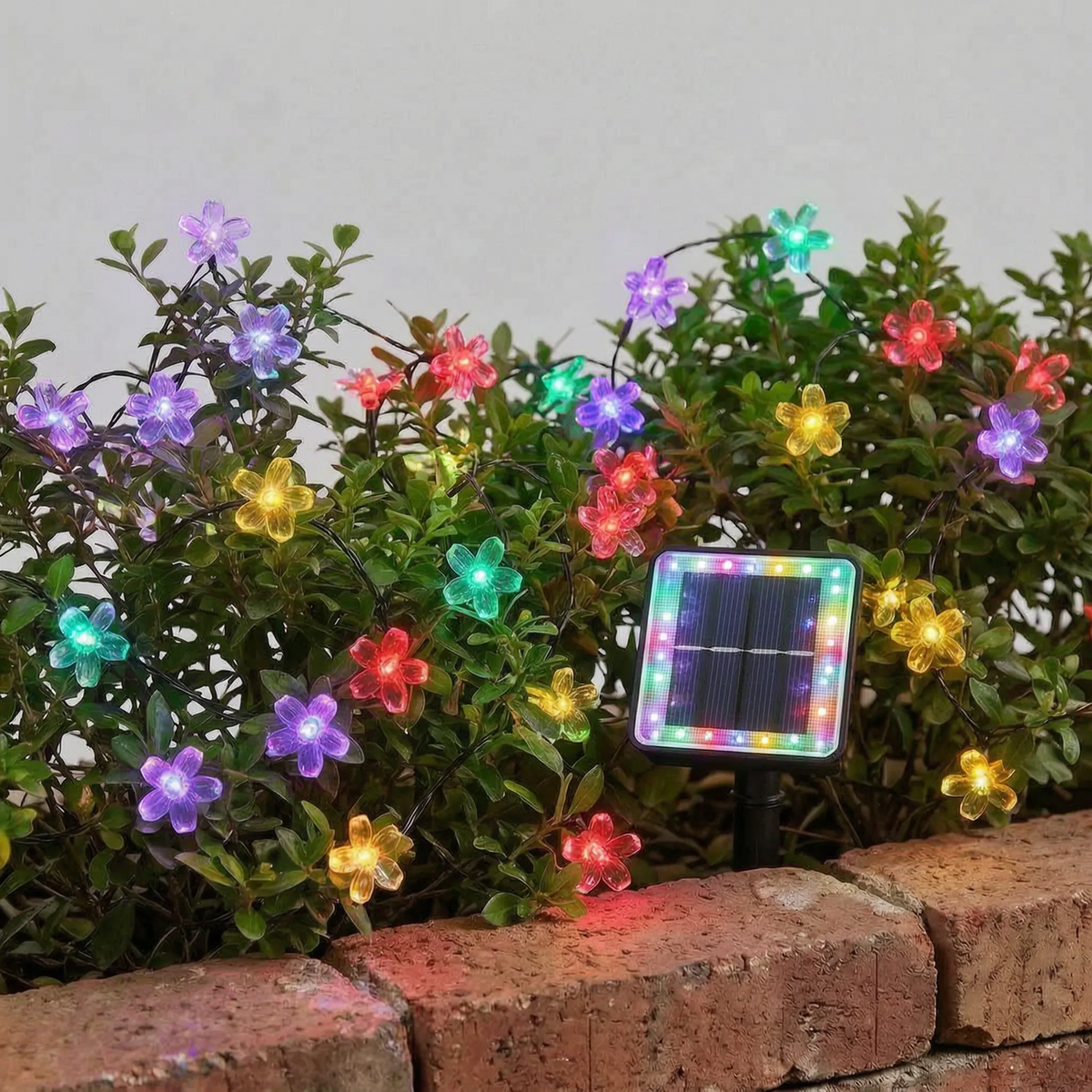 Outdoor Solar String Lights