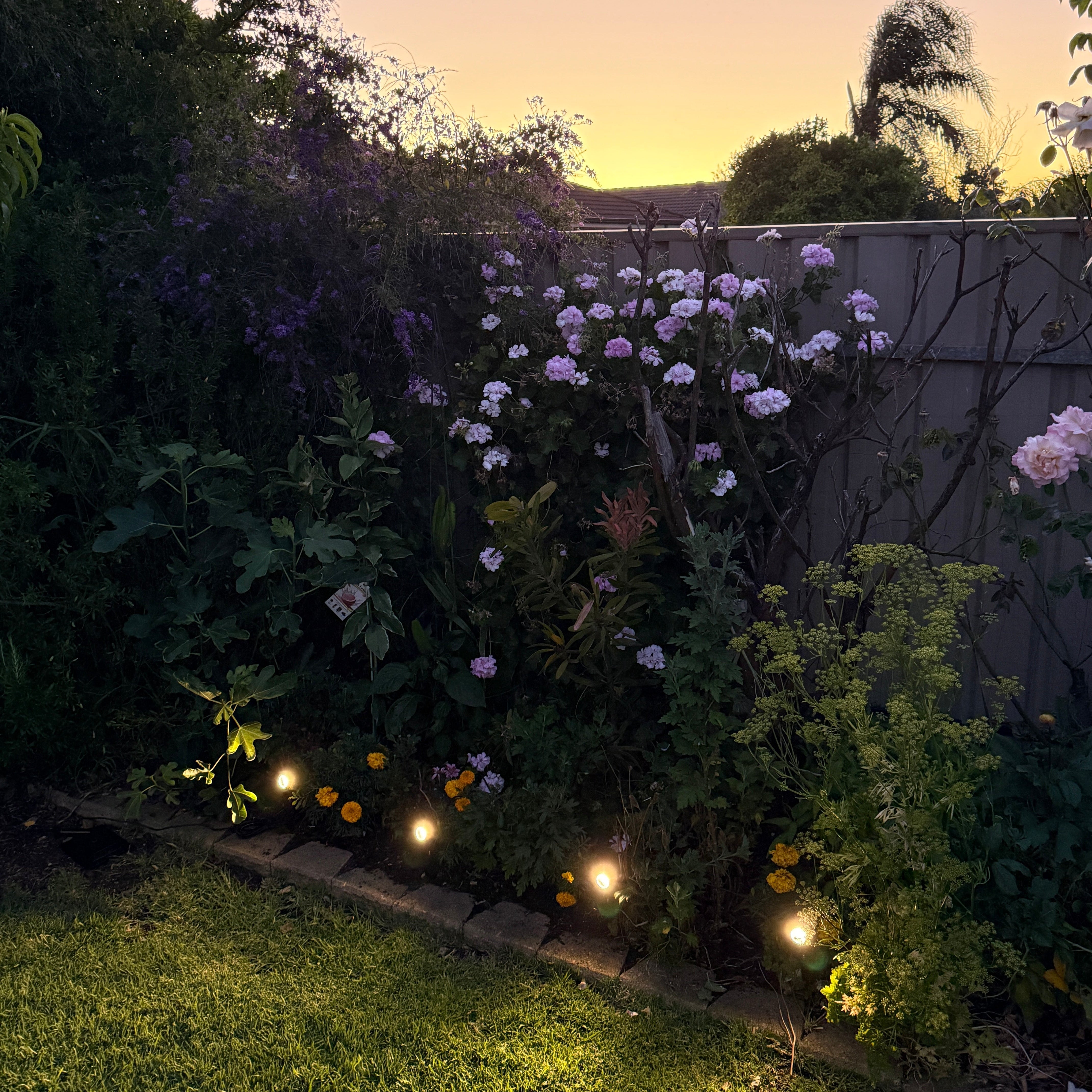 Eco-Friendly Solar LED Spotlight Set for Outdoor Illumination