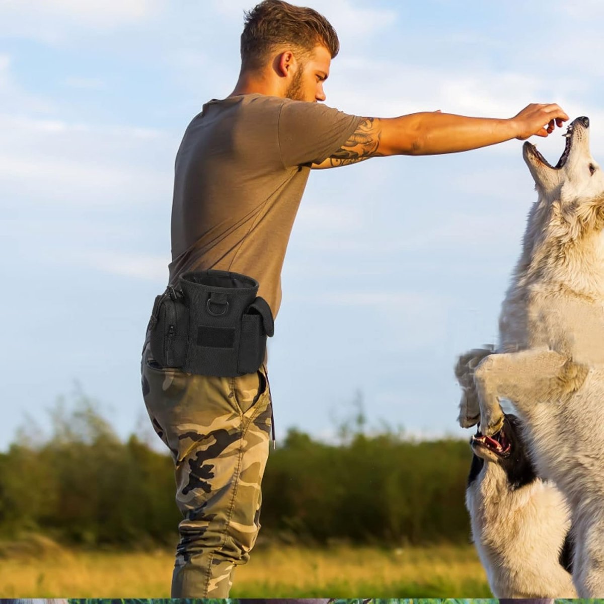 FetchMate | Quick-Access Dog Treat Carrier for Training & Walks