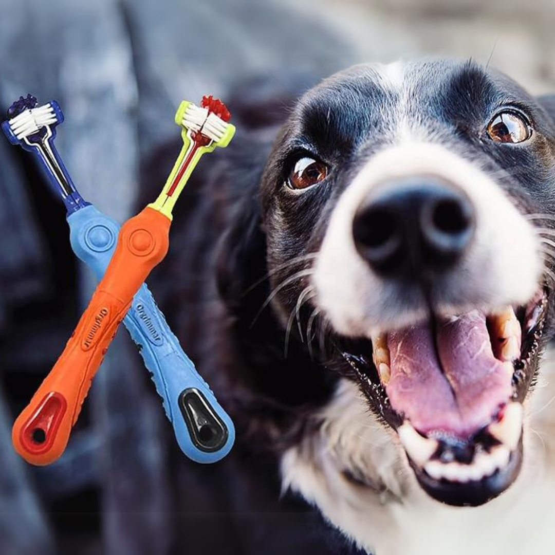 3-Sided Pet Dental Brush Set | Tartar Control & Fresh Breath