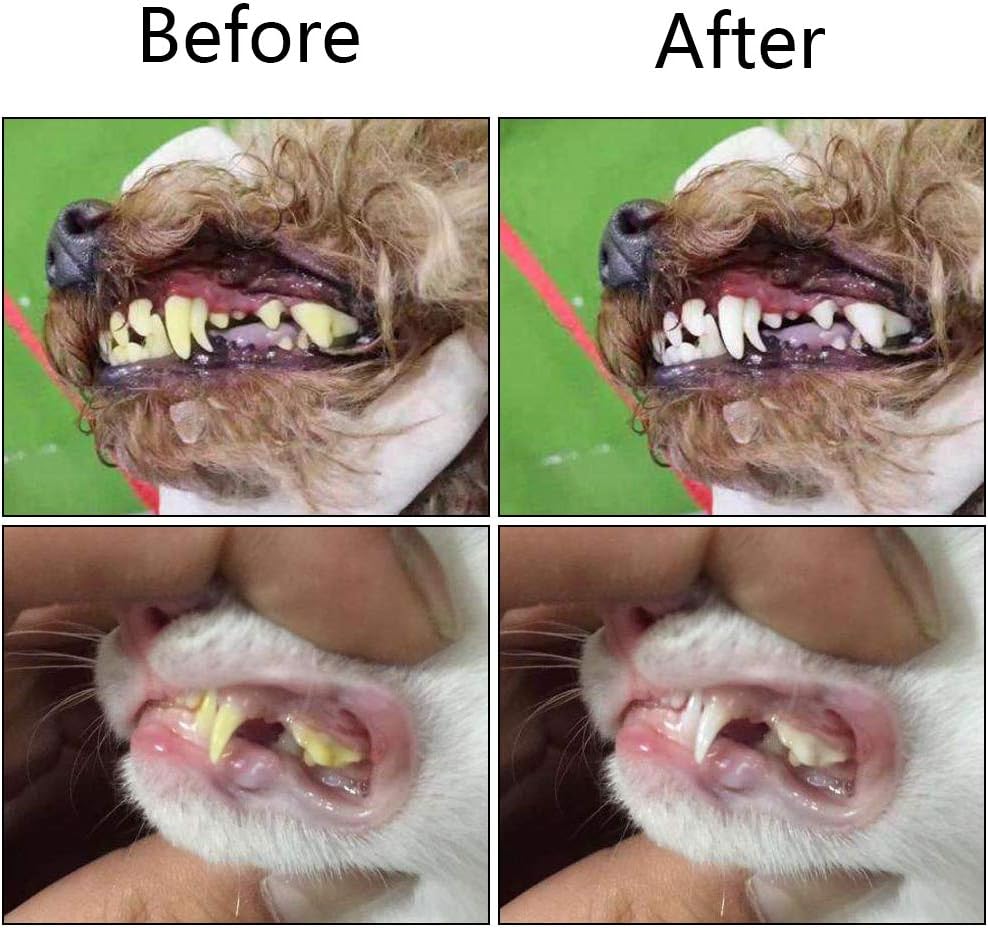 3-Sided Pet Dental Brush Set | Tartar Control & Fresh Breath