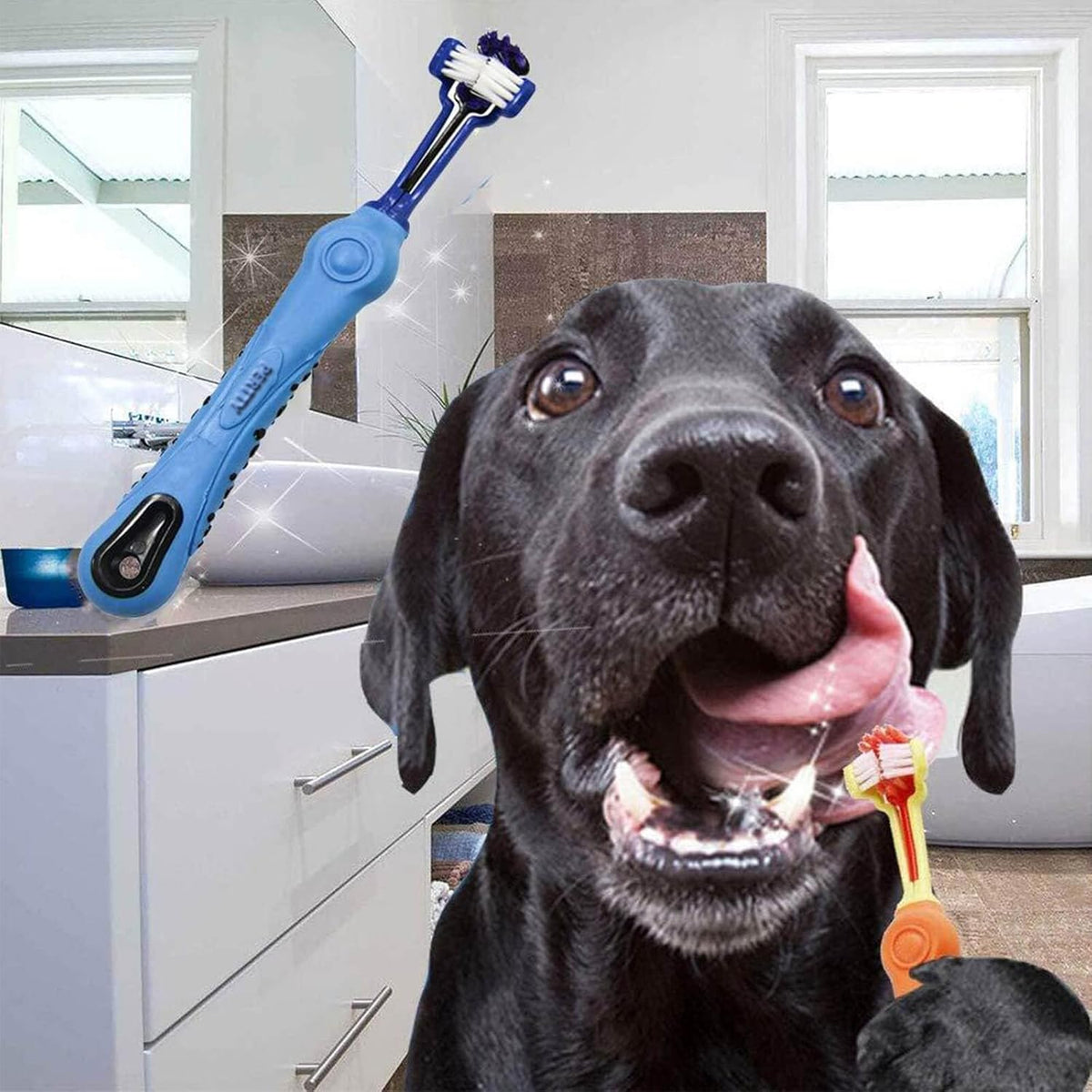3-Sided Pet Dental Brush Set | Tartar Control & Fresh Breath