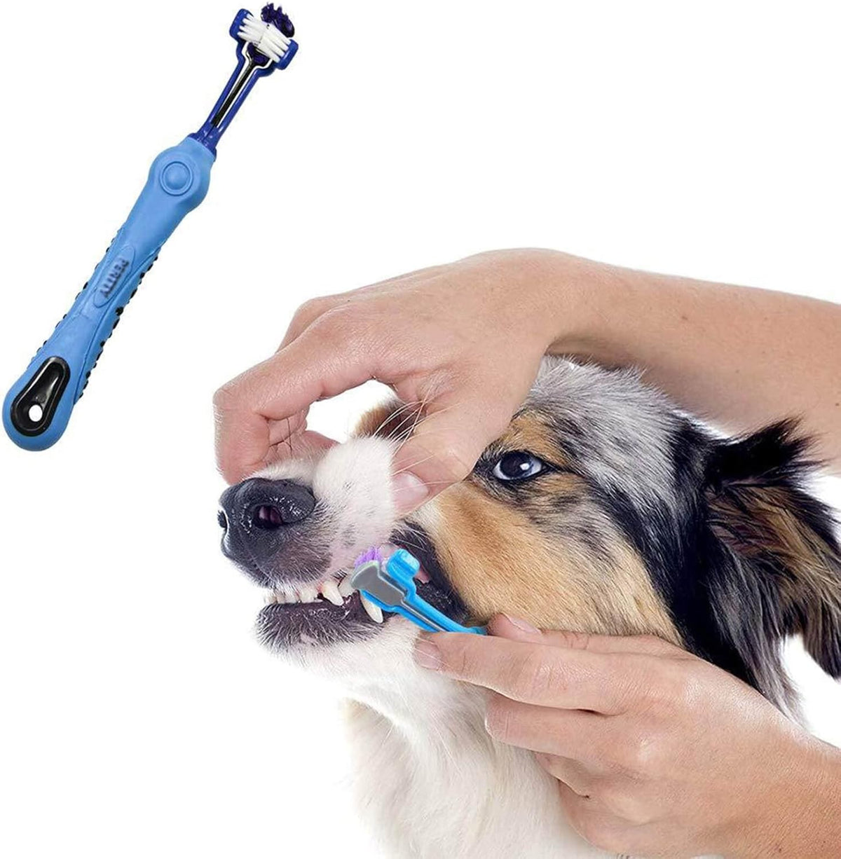 3-Sided Pet Dental Brush Set | Tartar Control & Fresh Breath