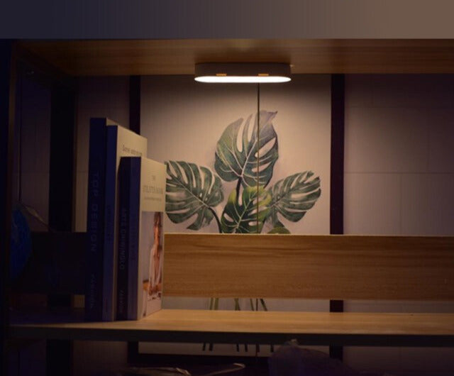 Rechargeable Wall Lamp with USB Charging