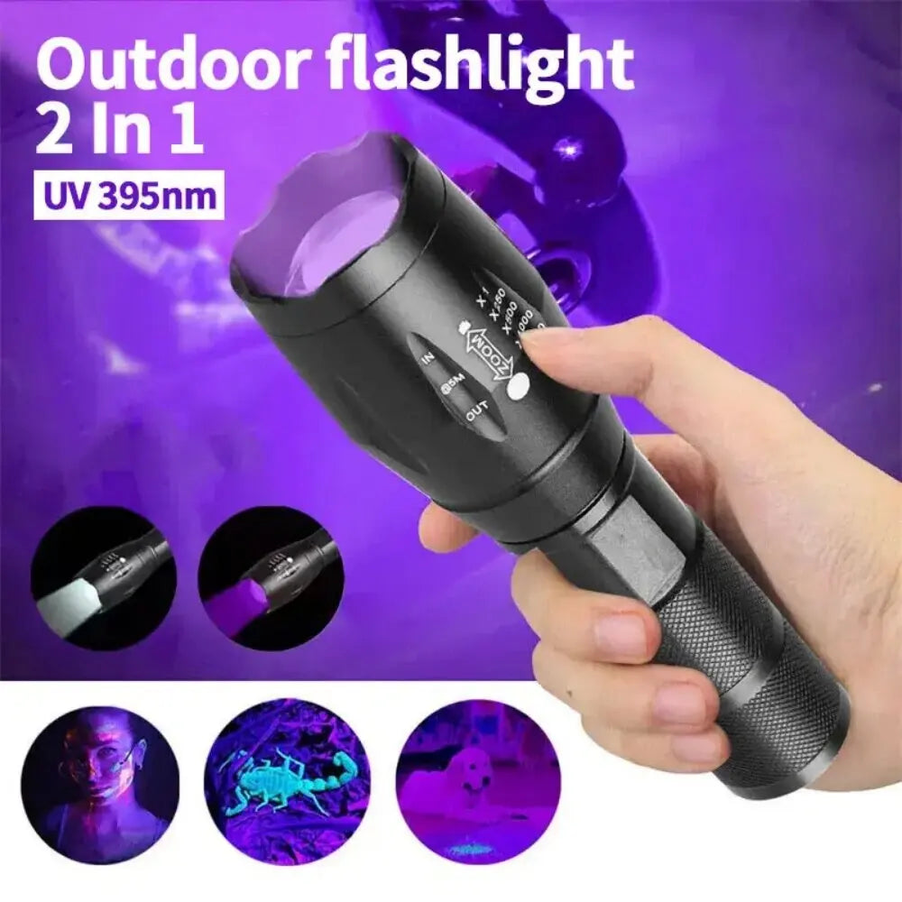 Portable UV Light Detector for Hidden Stains | Rechargeable Tool