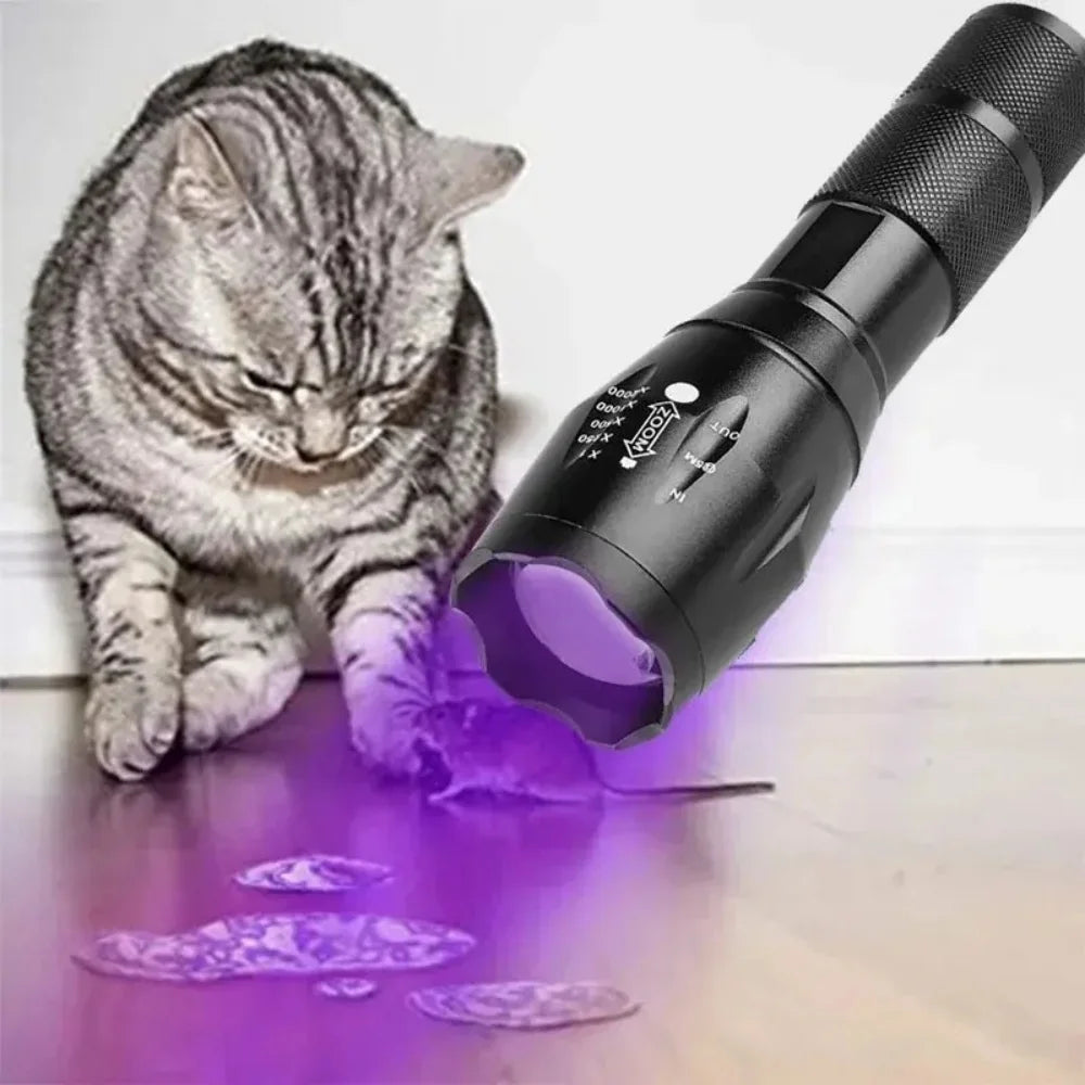 Portable UV Light Detector for Hidden Stains | Rechargeable Tool