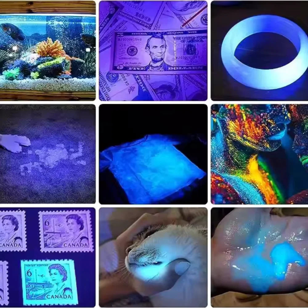Portable UV Light Detector for Hidden Stains | Rechargeable Tool