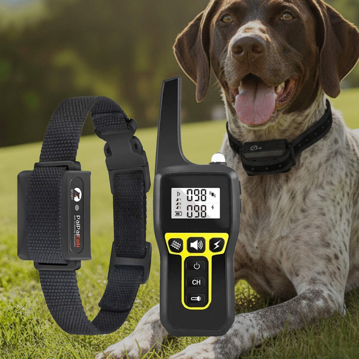 Smart Obedience Training Collar | 1000m Range & Waterproof