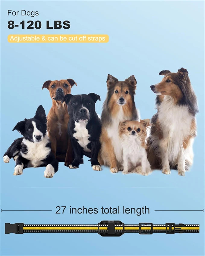 Advanced Waterproof Dog Training Collar with Remote Control