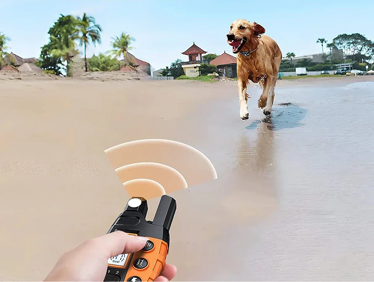 Premium Training Collar | Waterproof Dog Training Device with Custom Modes