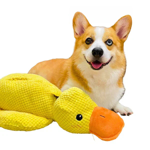 Soothing Tough Quacker Toy