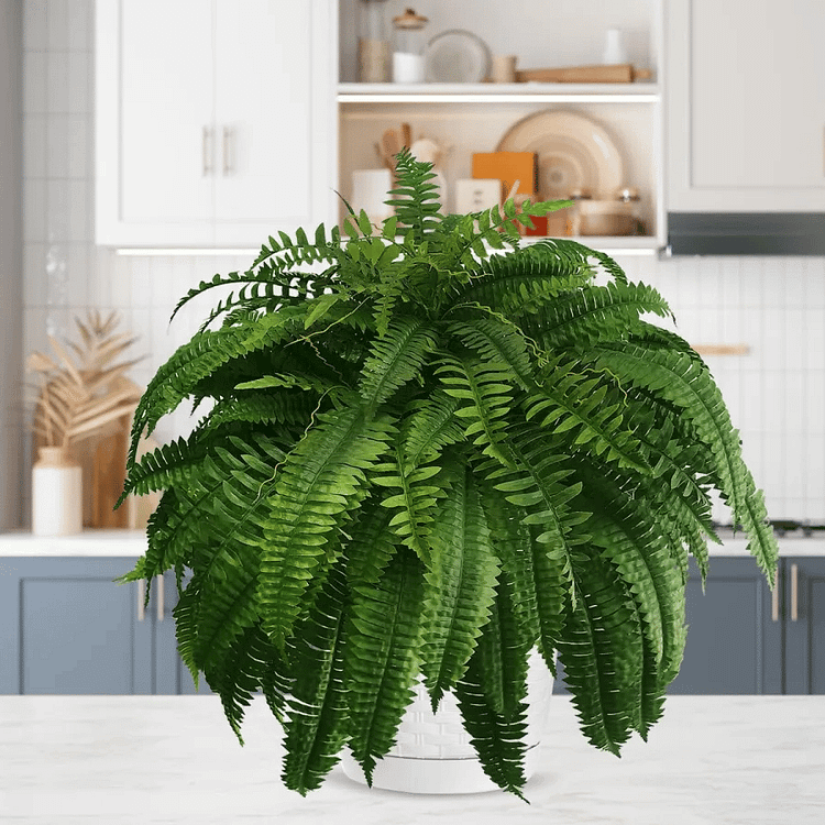 Evergreen Oasis – Fade-Resistant Foliage for Timeless Charm