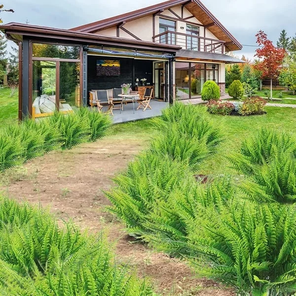 Evergreen Oasis – Fade-Resistant Foliage for Timeless Charm