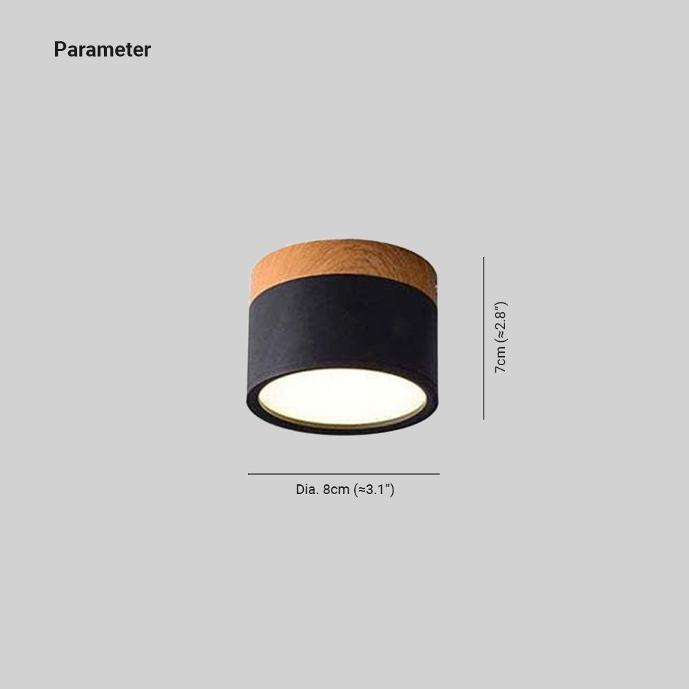 Modern LED Ceiling Light in Morandi Style
