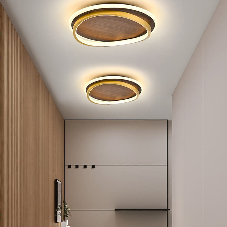 Elegant LED Ceiling Light Fixture for Modern Interiors
