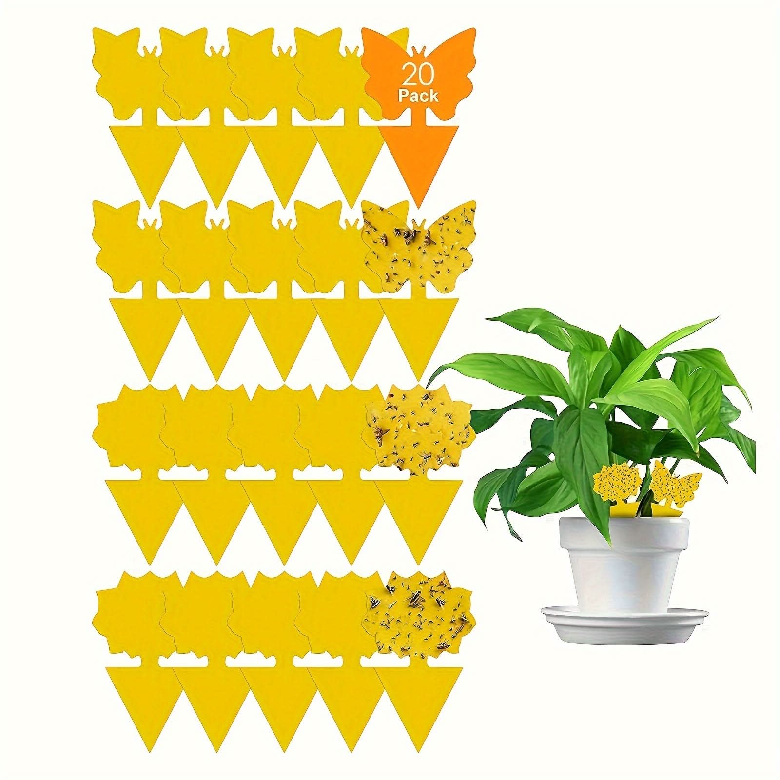 EcoGuard – Yellow Sticky Traps for Indoor Plant Protection