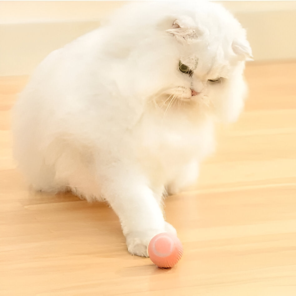 Dual-Mode Interactive Cat Play Toy