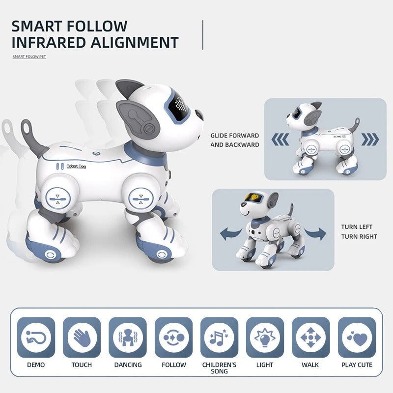 Interactive Companion Robot for Kids