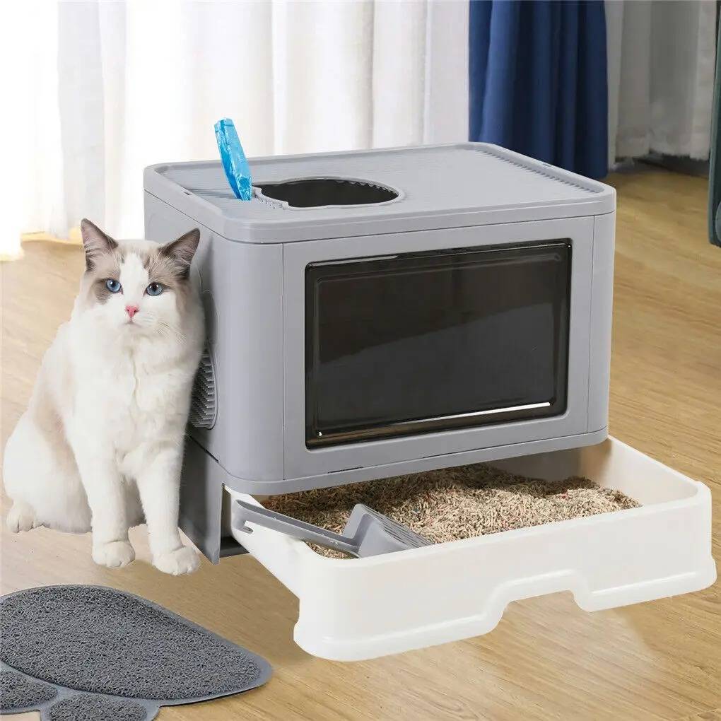 Smart Cat Litter Solution for a Clean Home