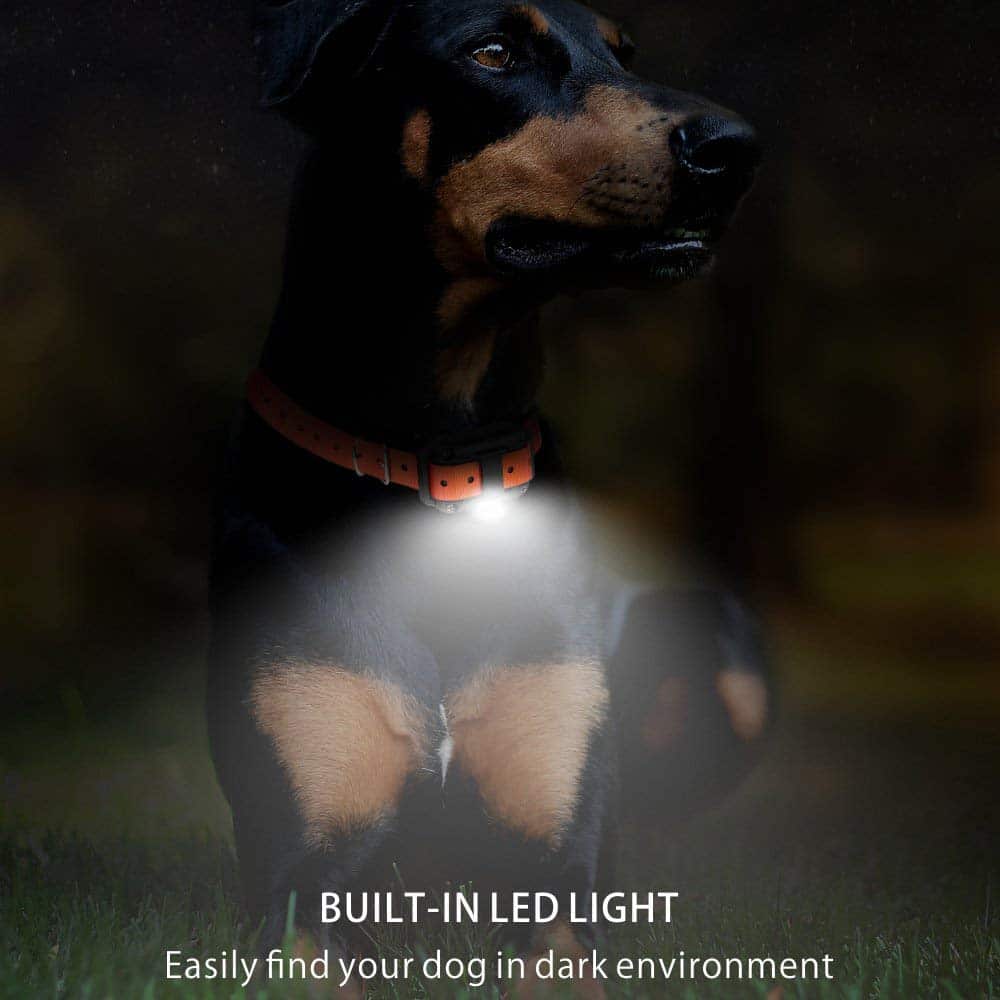 Smart Dog Training Collar with 800-Meter Range