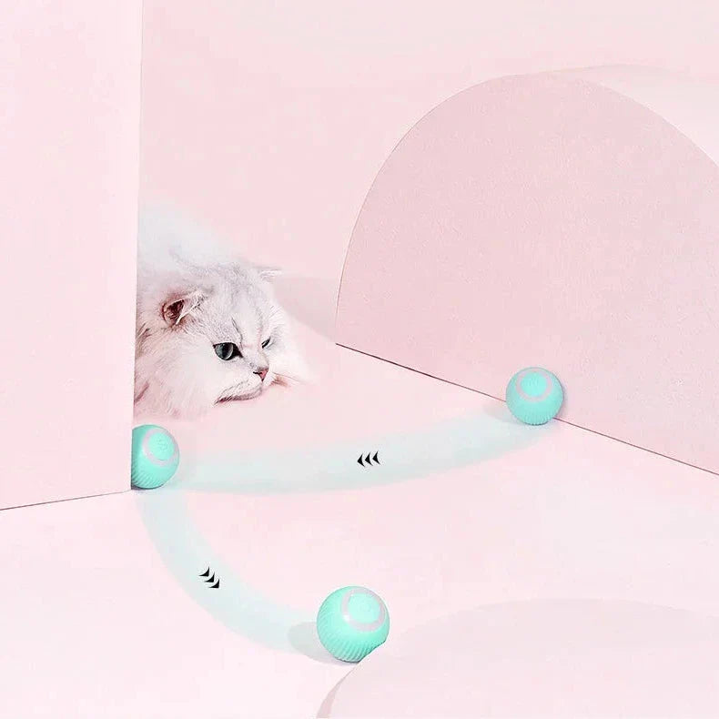 Dual-Mode Interactive Cat Play Toy