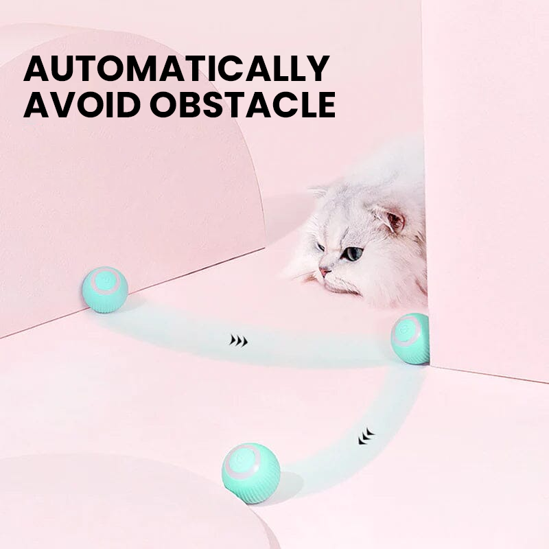 Dual-Mode Interactive Cat Play Toy