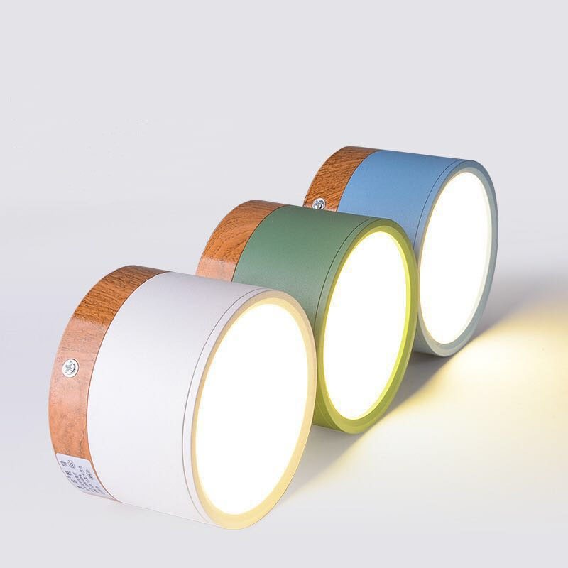 Modern LED Ceiling Light in Morandi Style