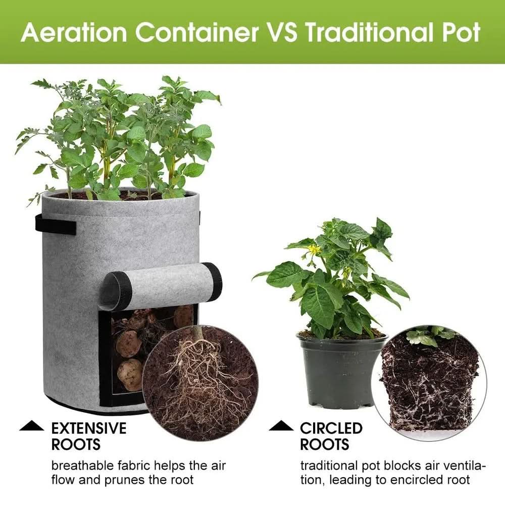 EcoGrow Fabric Planter Bags for Effortless Gardening