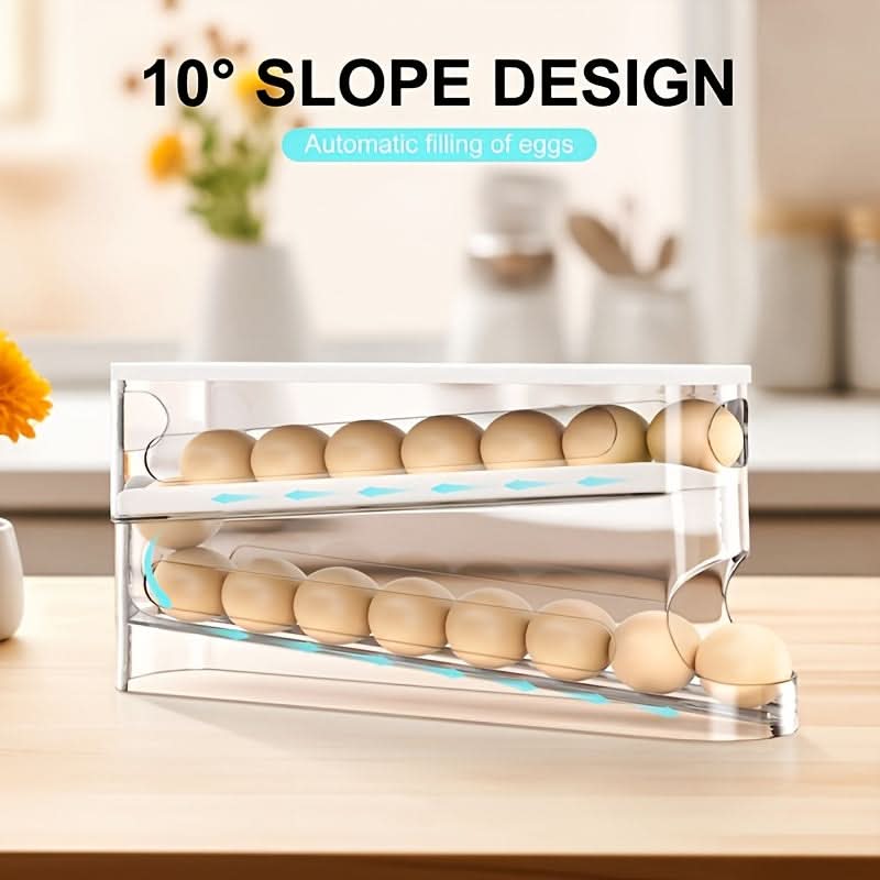 SmartEgg Keeper – Efficient Refrigerator Door Storage Solution