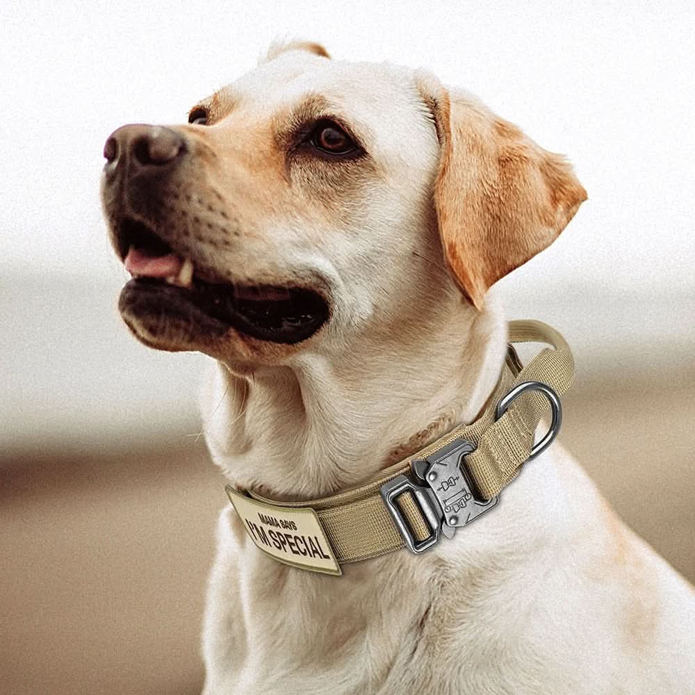 Ultimate Comfort Tactical Dog Collar Set – Adjustable & Durable