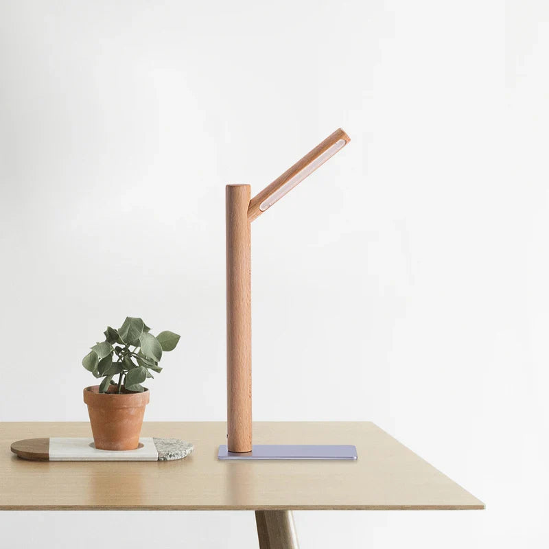 360° Adjustable Head LED Desk Lamp