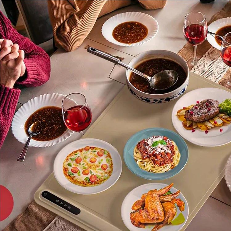 Versatile Electric Food Warming Station