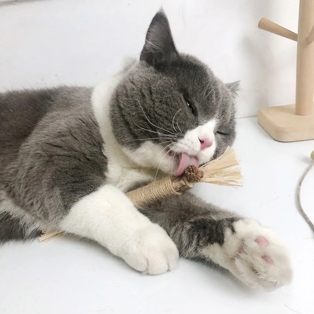 Eco-Friendly Cat Dental Chew Set for Happy Kitties