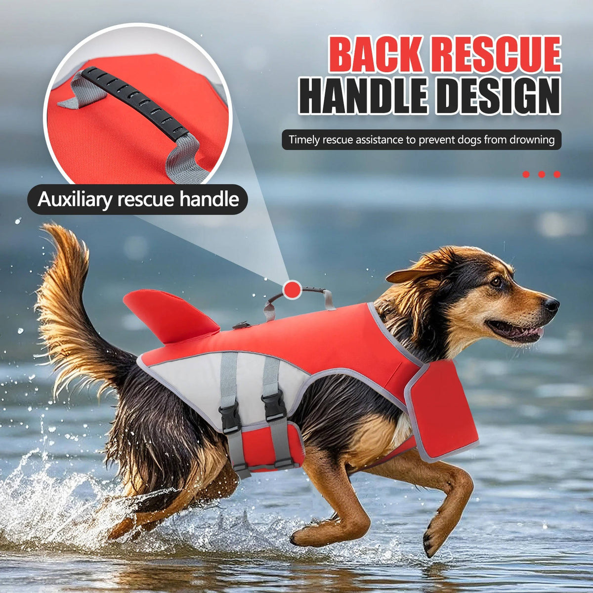 Paw Floatation Vest for Confident Swimmers