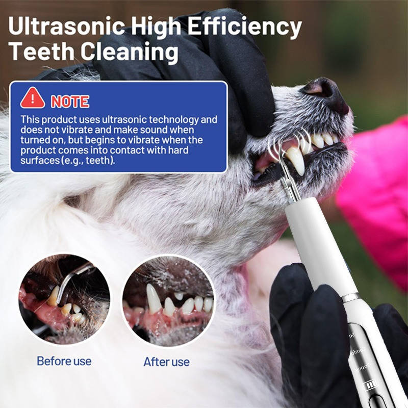 Gentle Home Dental Care Tool for Dogs