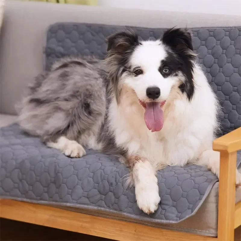 Ultimate Pet Training Pads: Disposable & Washable