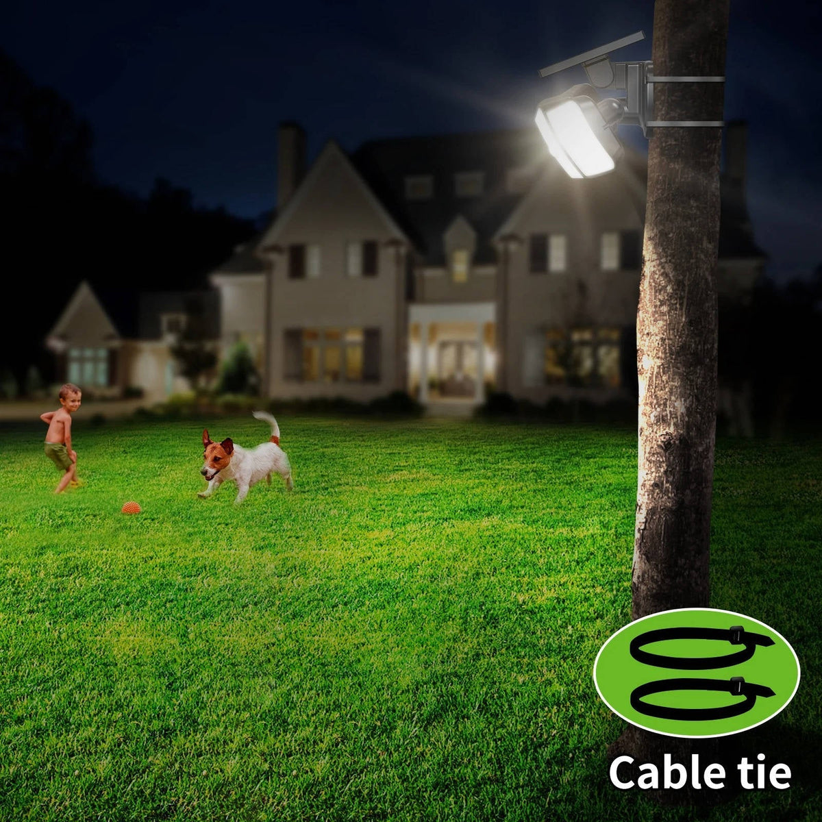Illuminate Your Space: Solar Motion-Activated Flood Lights