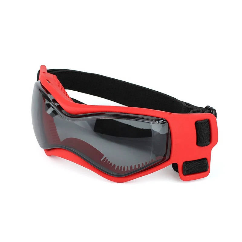 Paw Protector Shades for Dogs