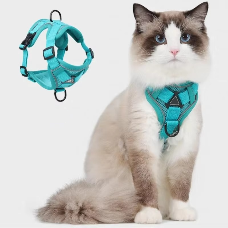 Comfort Fit Cat Harness and Leash Combo