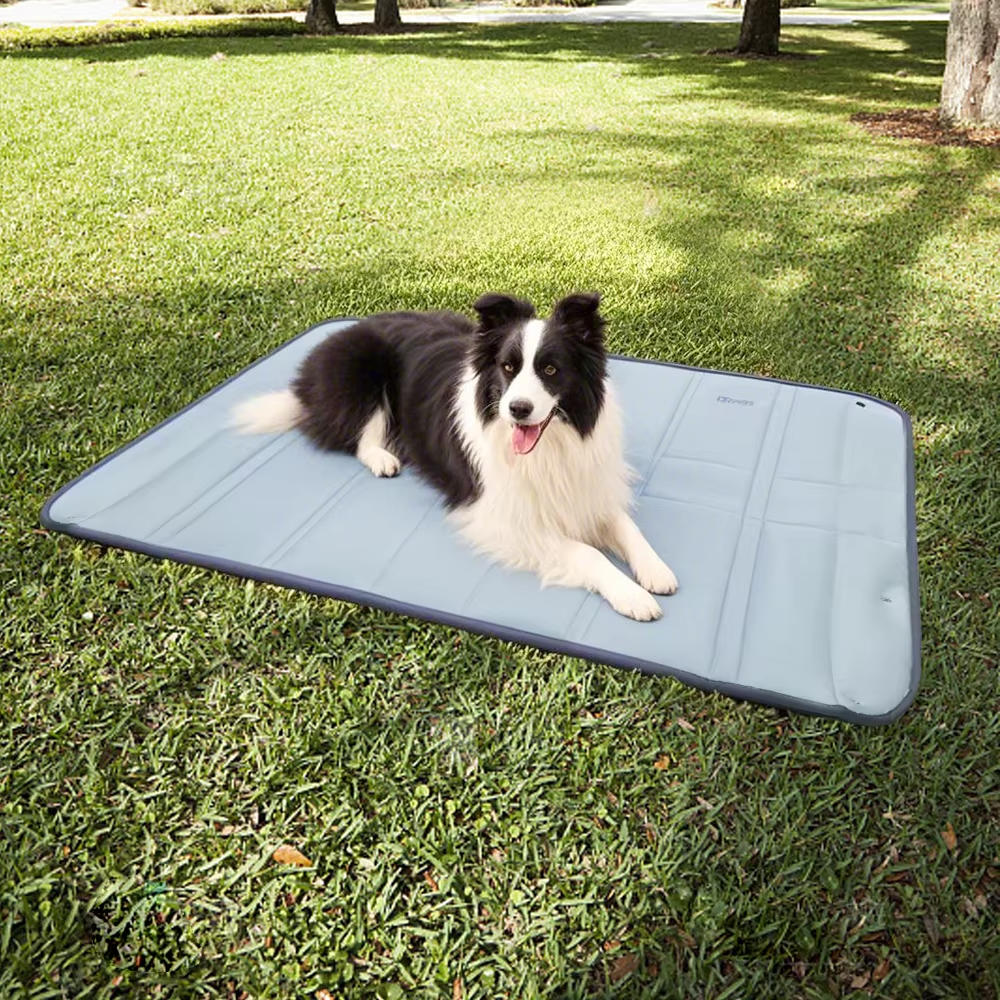 Travel Pet Carrier and Cozy Mat in One
