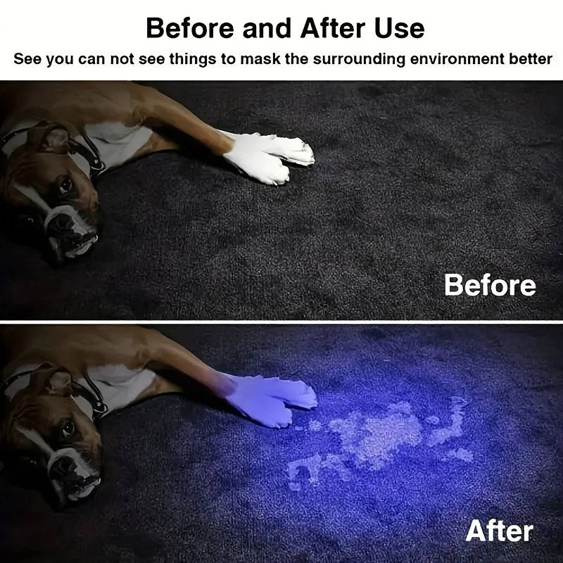 Portable Rechargeable UV Light with Adjustable Focus
