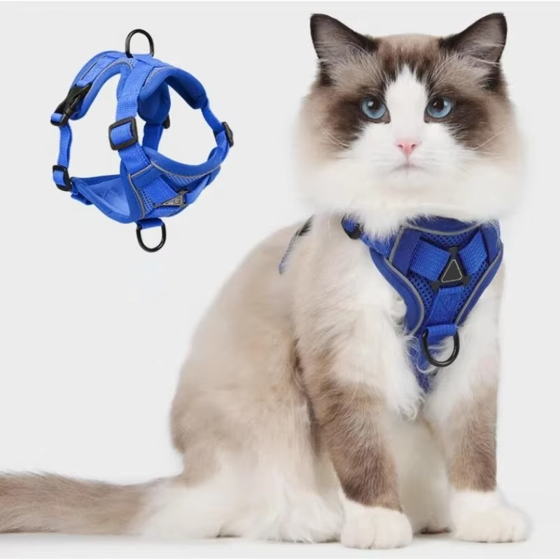 Comfort Fit Cat Harness and Leash Combo