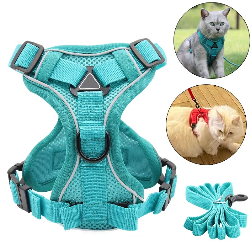 Comfort Fit Cat Harness and Leash Combo