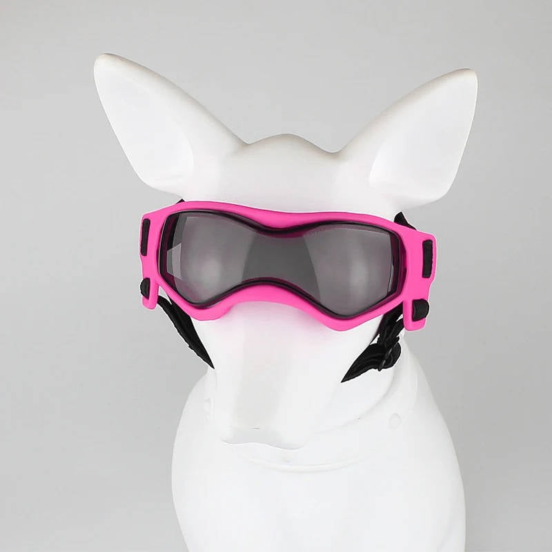Paw Protector Shades for Dogs