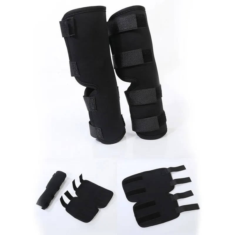 Canine Comfort Brace for Joint Support