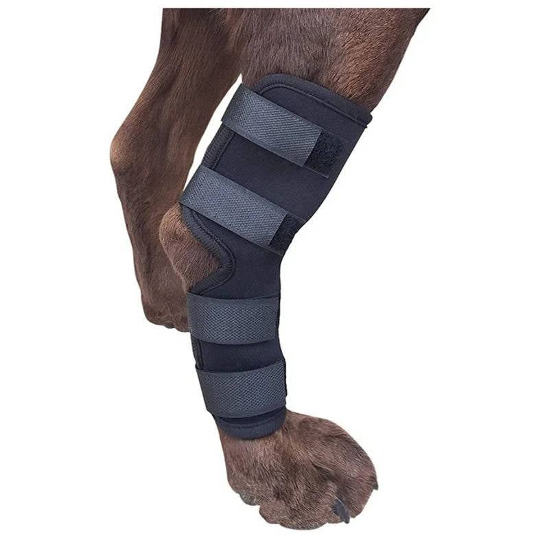 Canine Comfort Brace for Joint Support