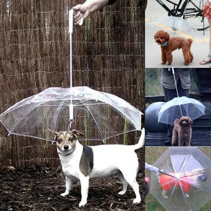 Small Dog Rain Shield with Leash Attachment
