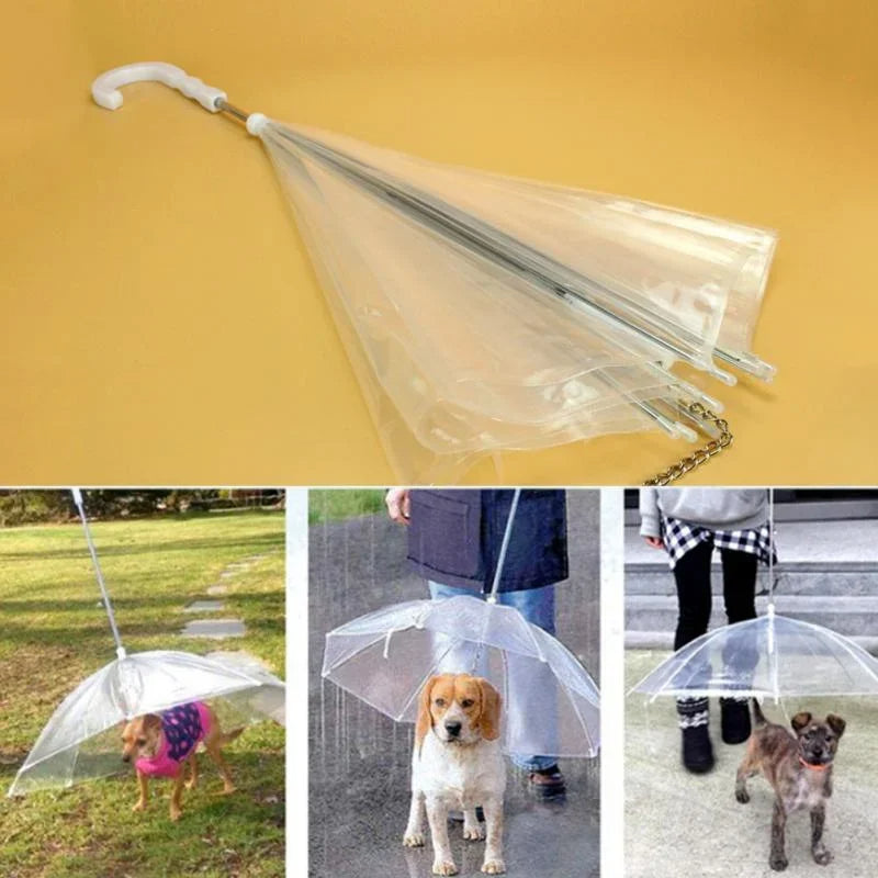 Small Dog Rain Shield with Leash Attachment