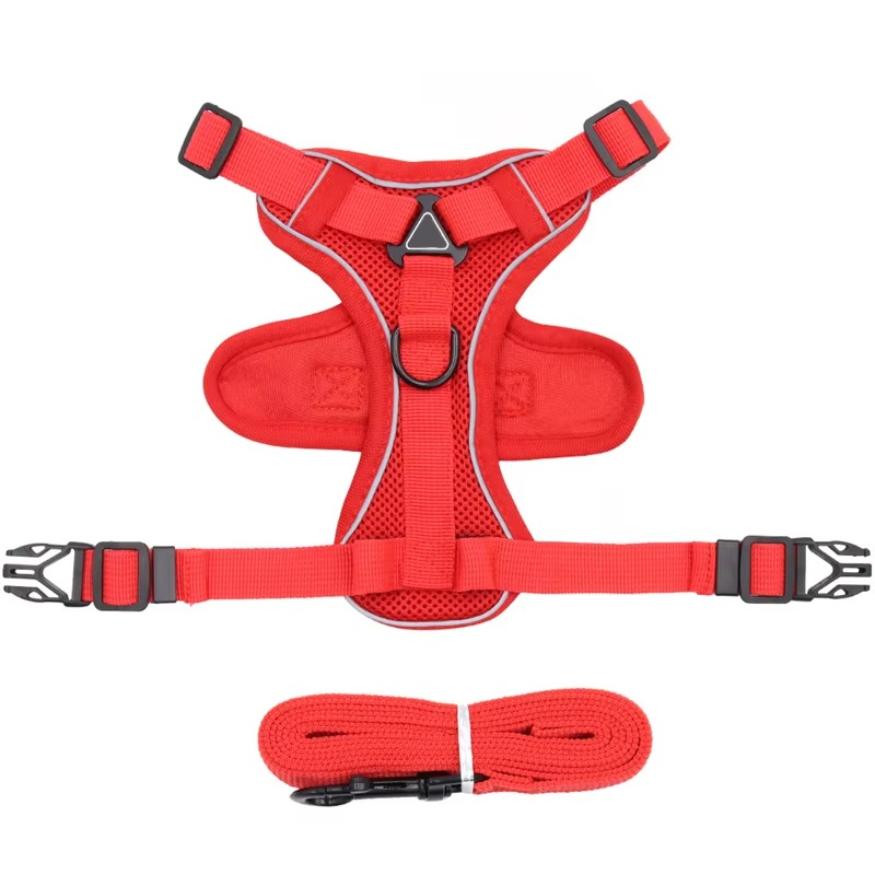 Comfort Fit Cat Harness and Leash Combo
